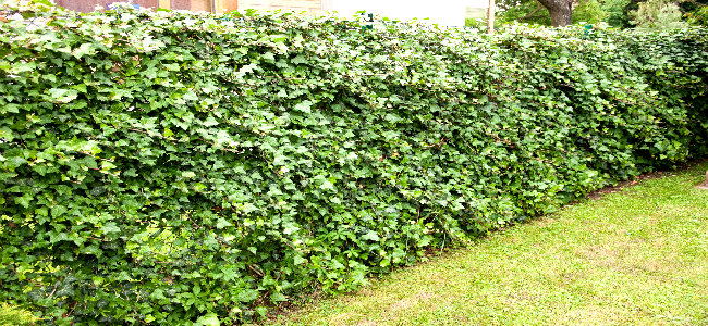 プチ解体・外構工事