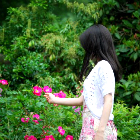 低価格で短工期